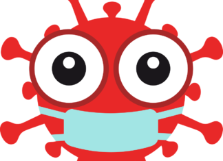 Immunsystem stärken in Coronazeiten Corona