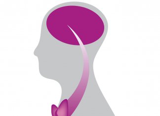 Jodmangel, Lernschwierigkeiten, ADHS Jodmangel