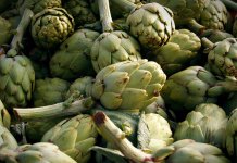 Regulation hoher Cholesterinwerte Artischocken