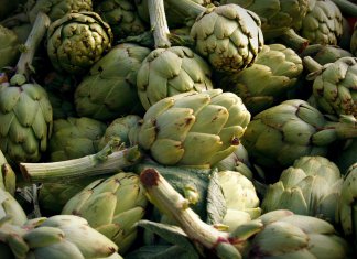 Regulation hoher Cholesterinwerte Artischocken