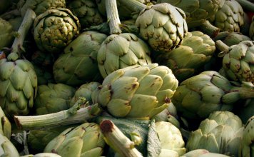 Regulation hoher Cholesterinwerte Artischocken